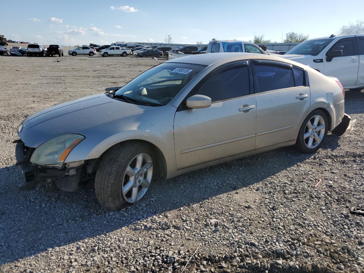 1N4BA41E96C808156 NISSAN MAXIMA 2006 SILVER Photo 1