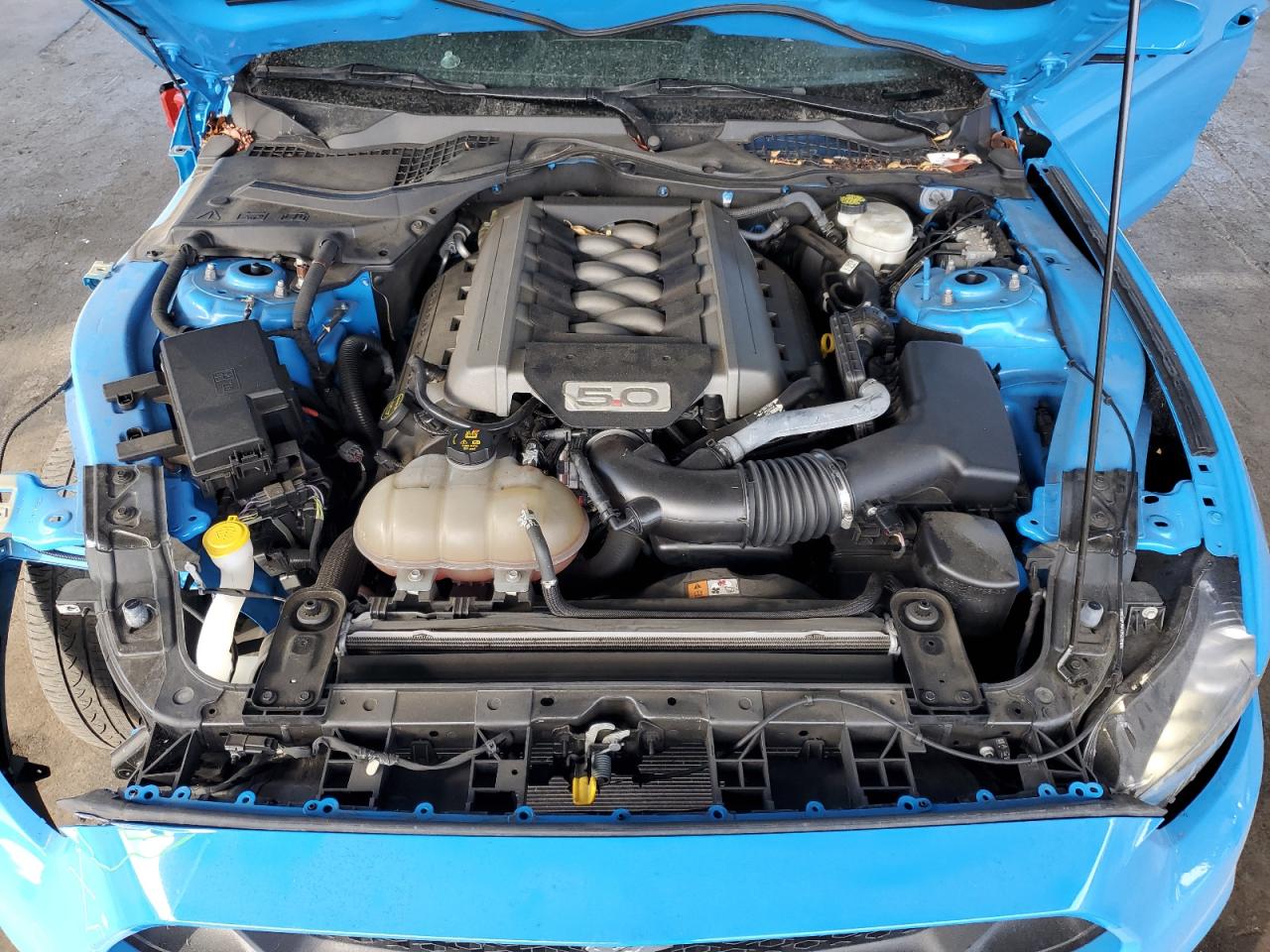 2017 Ford Mustang Gt VIN: 1FA6P8CF3H5292090 Lot: 81870815