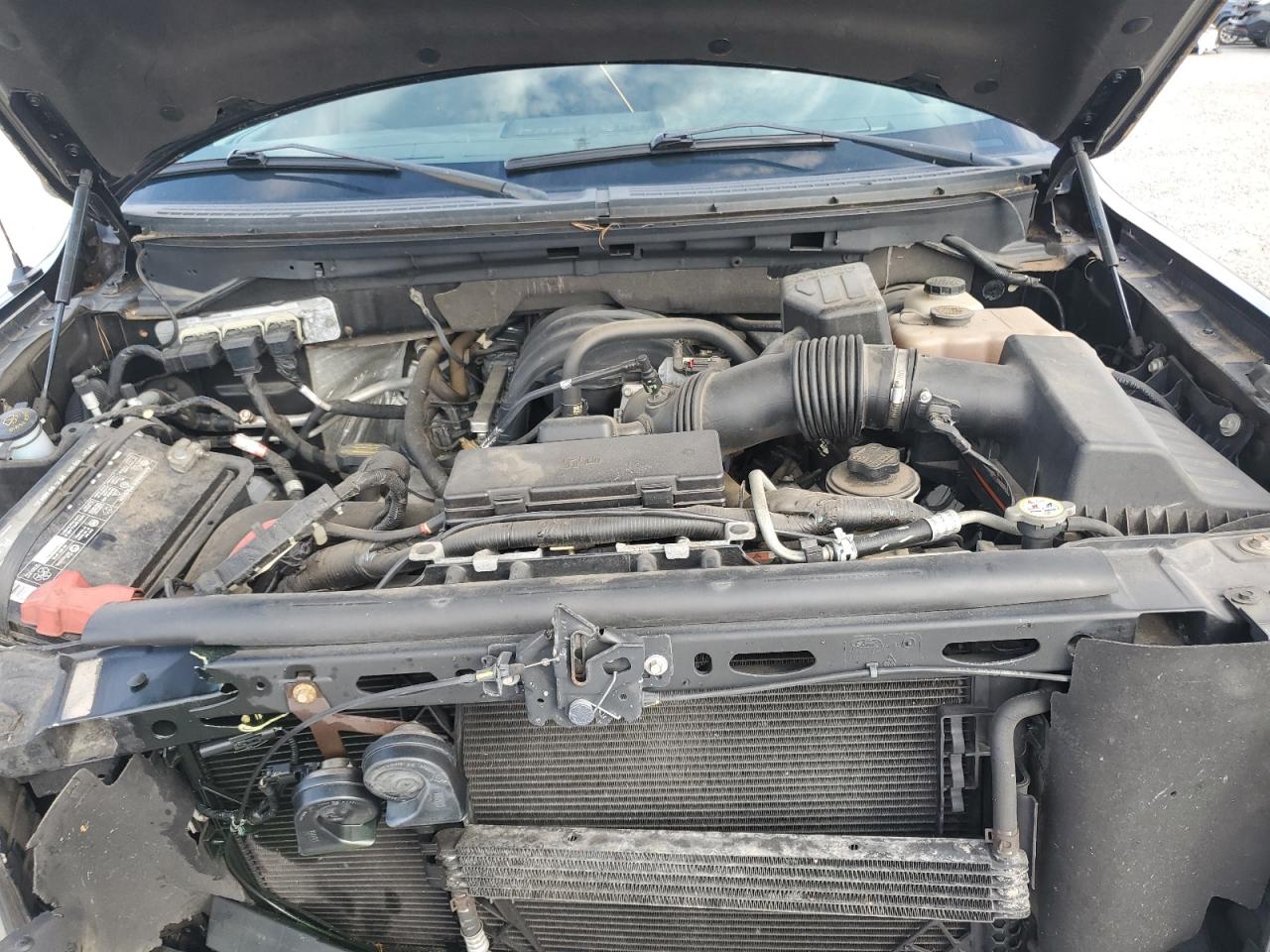 2010 Ford F150 VIN: 1FTMF1C82AKB04017 Lot: 81838065