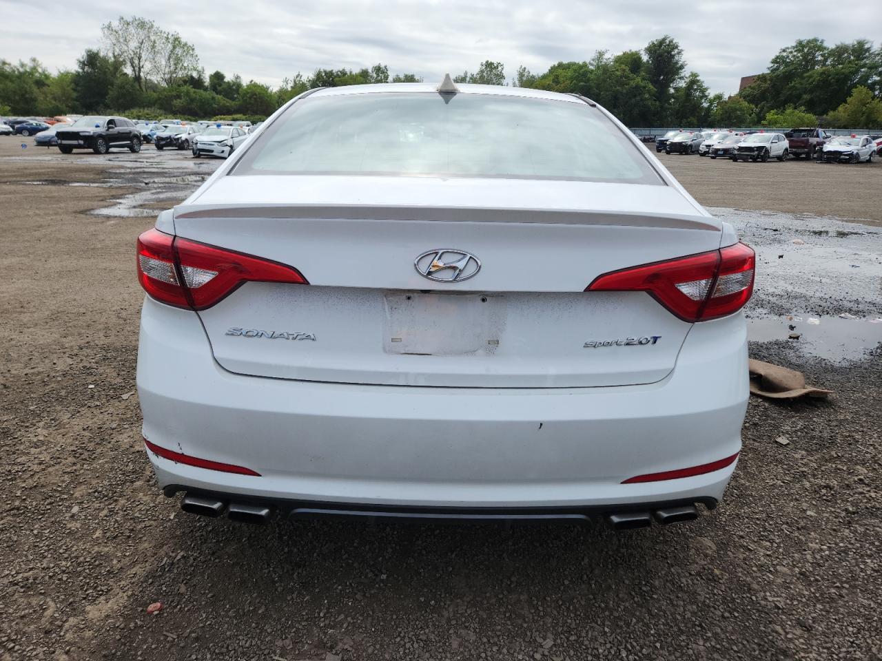 2017 Hyundai Sonata Sport VIN: 5NPE34AB4HH524979 Lot: 71589455