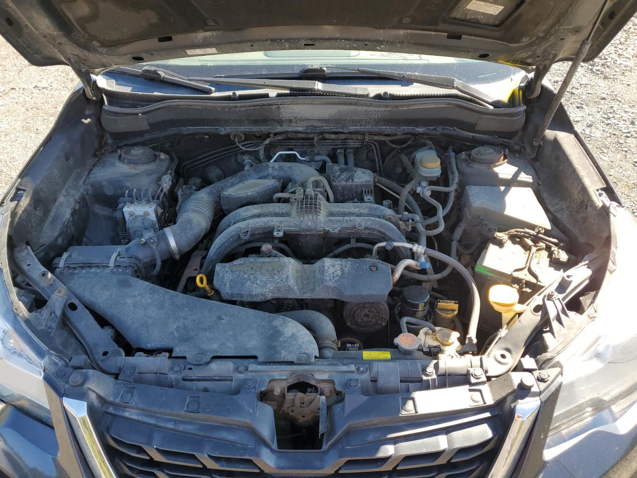 2017 Subaru Forester 2.5I Limited VIN: JF2SJALC6HH413458 Lot: 71431615