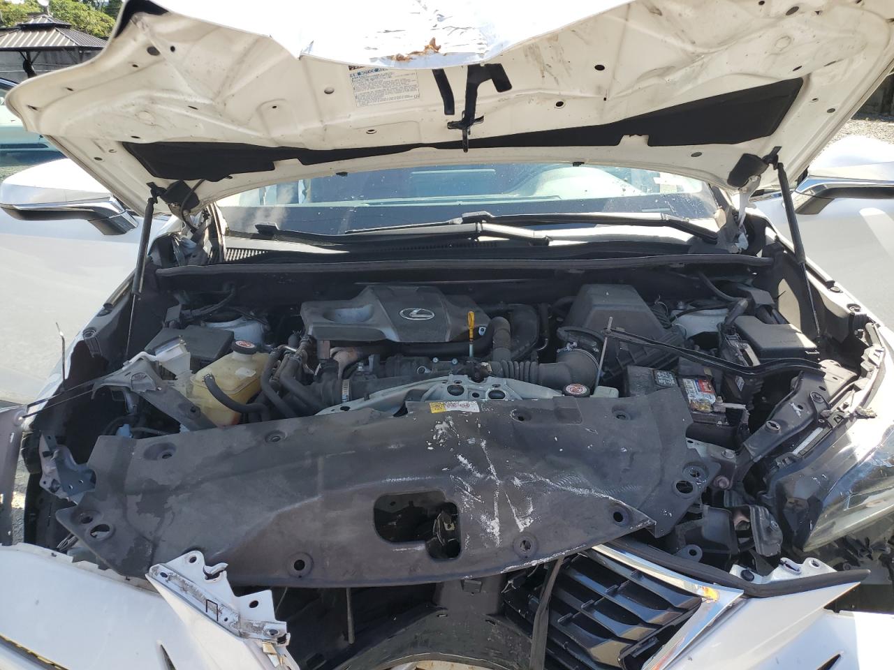 2019 Lexus Nx 300 Base VIN: JTJYARBZ1K2119454 Lot: 80136785