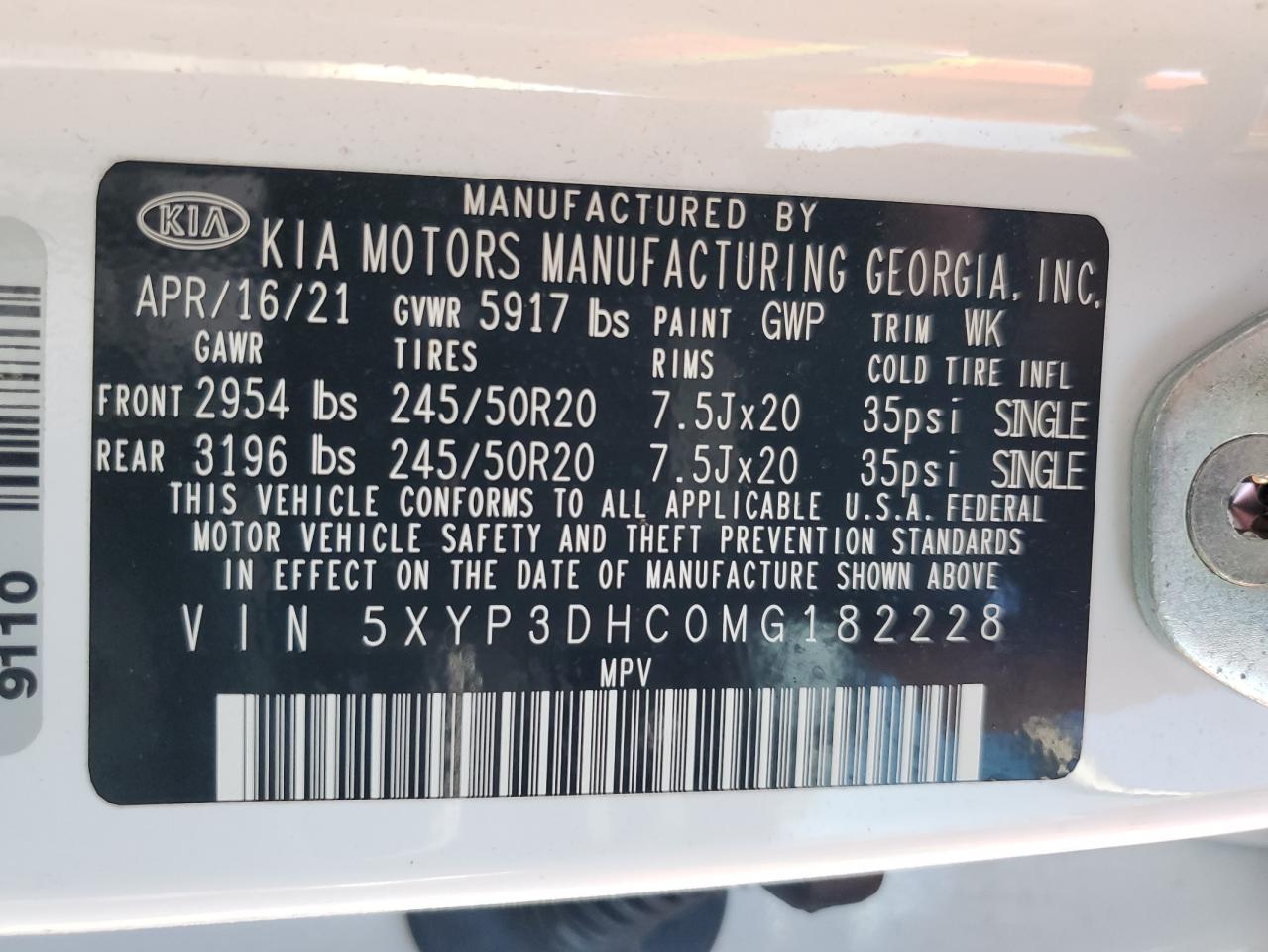 2021 Kia Telluride Ex VIN: 5XYP3DHC0MG182228 Lot: 81738175