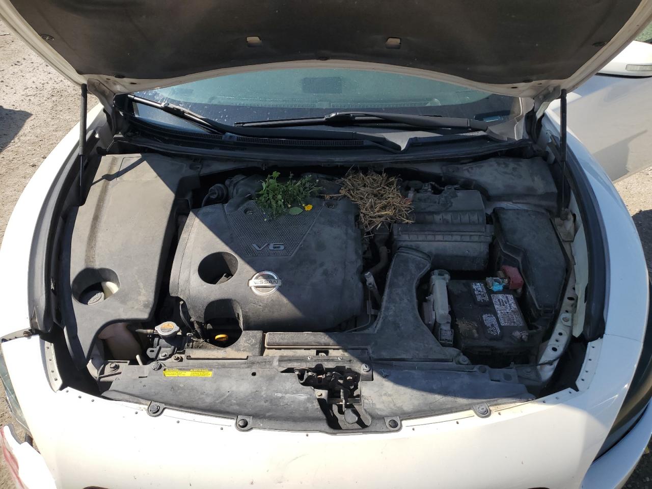 2010 Nissan Maxima S VIN: 1N4AA5AP0AC817856 Lot: 82119045