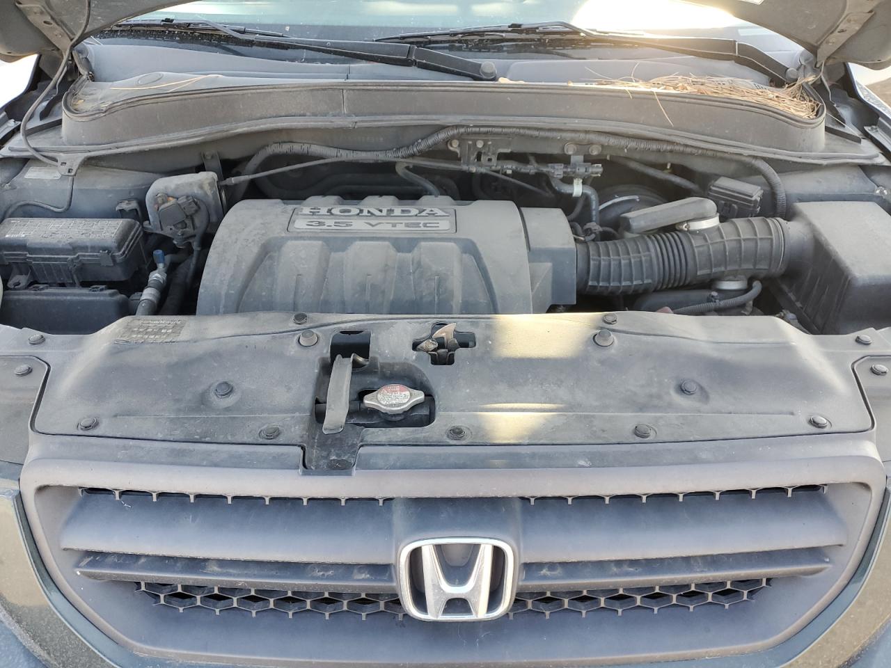 2005 Honda Pilot Exl VIN: 2HKYF18515H526316 Lot: 80991265