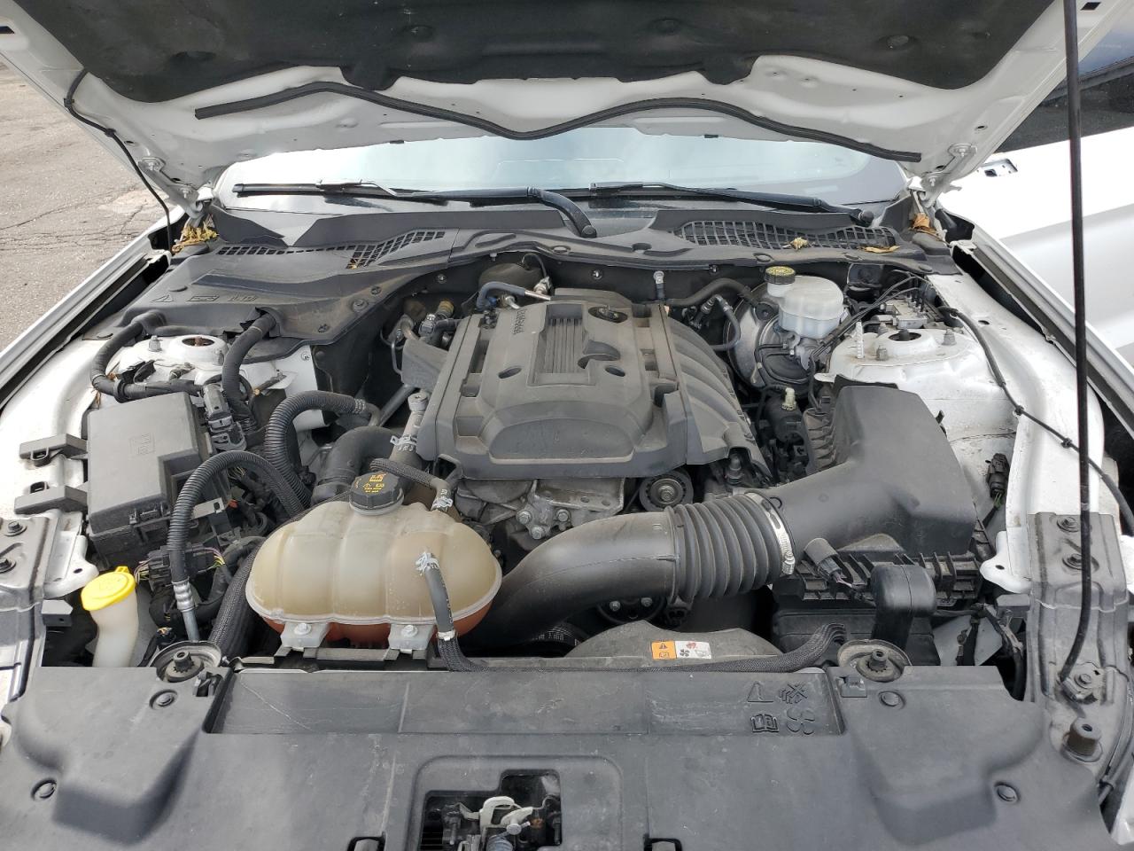 2018 Ford Mustang VIN: 1FA6P8TH7J5143821 Lot: 81636715