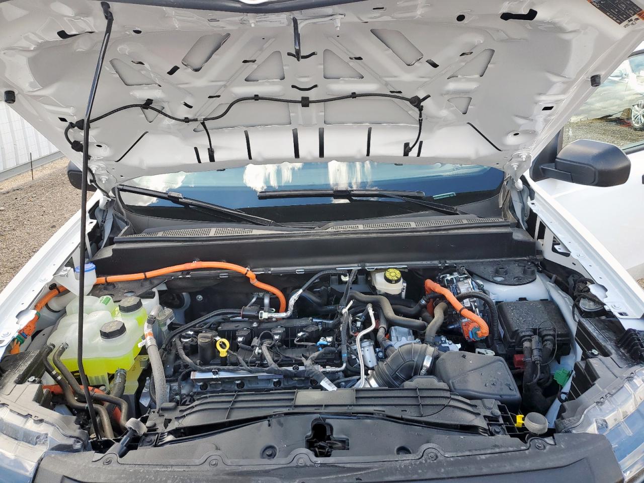 2025 Ford Maverick Xlt VIN: 3FTTW8J32SRA84425 Lot: 80308295