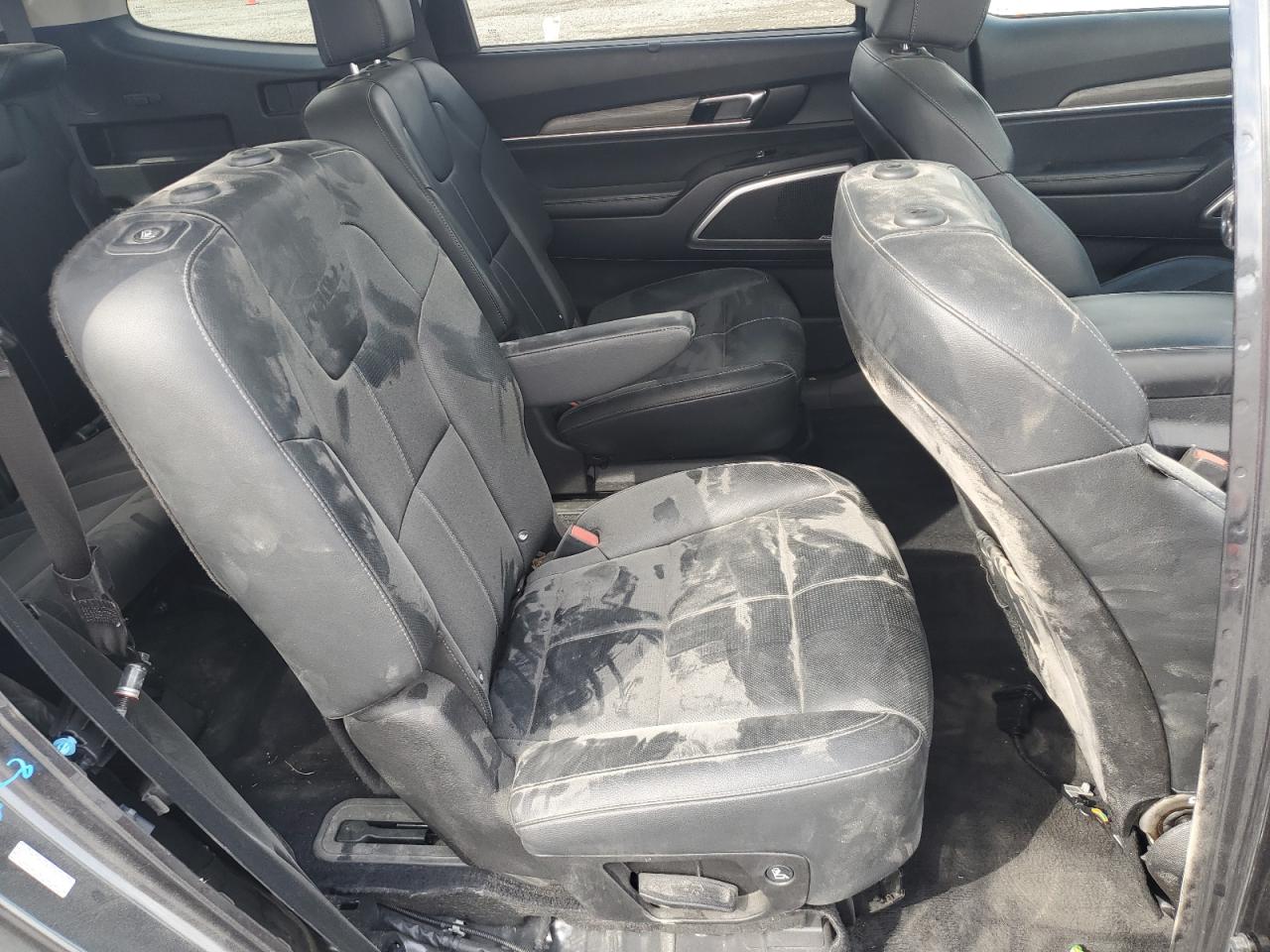 2022 Kia Telluride Ex VIN: 5XYP3DHC2NG250725 Lot: 81279465