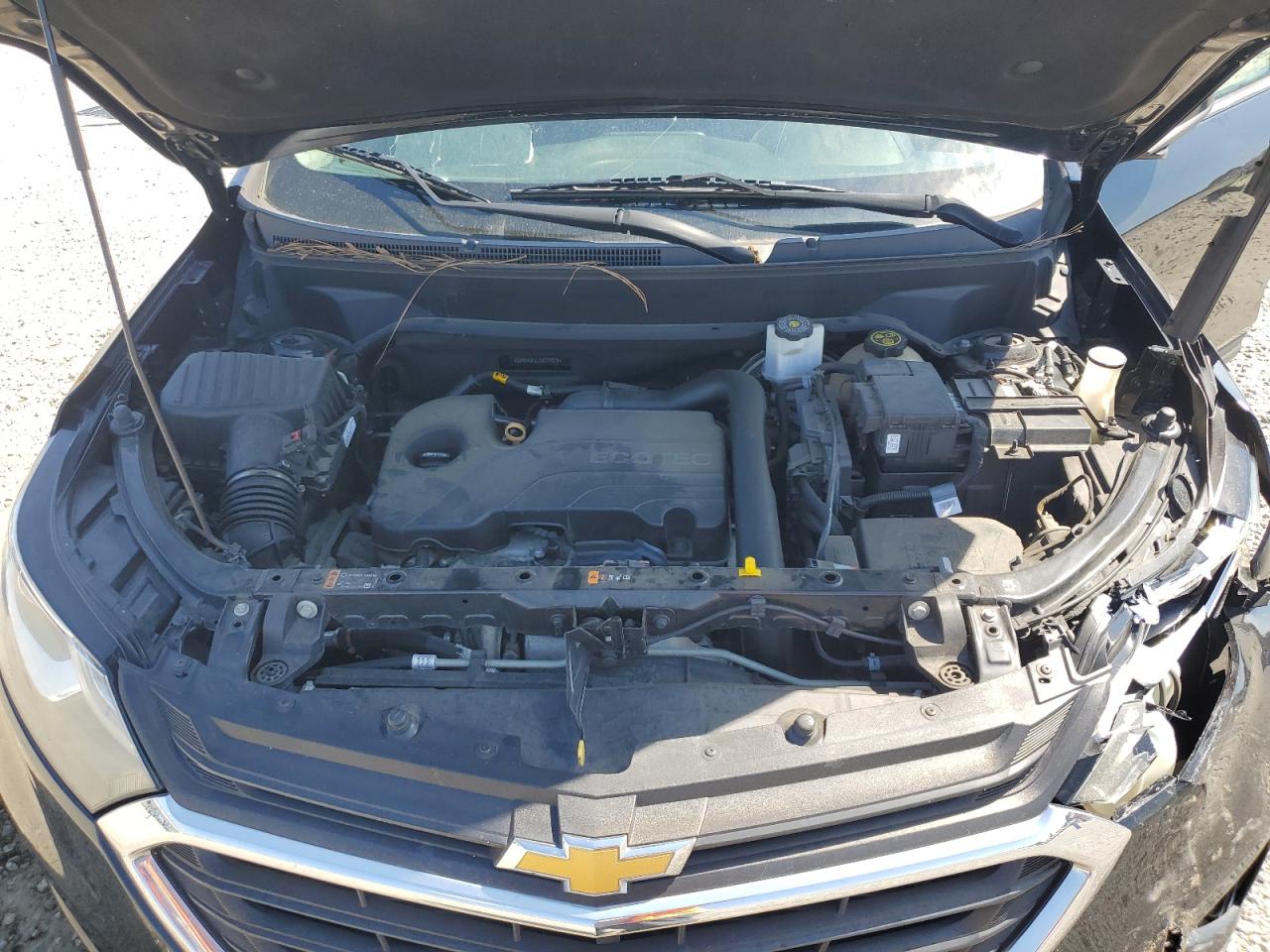 2018 Chevrolet Equinox Lt VIN: 2GNAXSEV7J6314020 Lot: 81287735