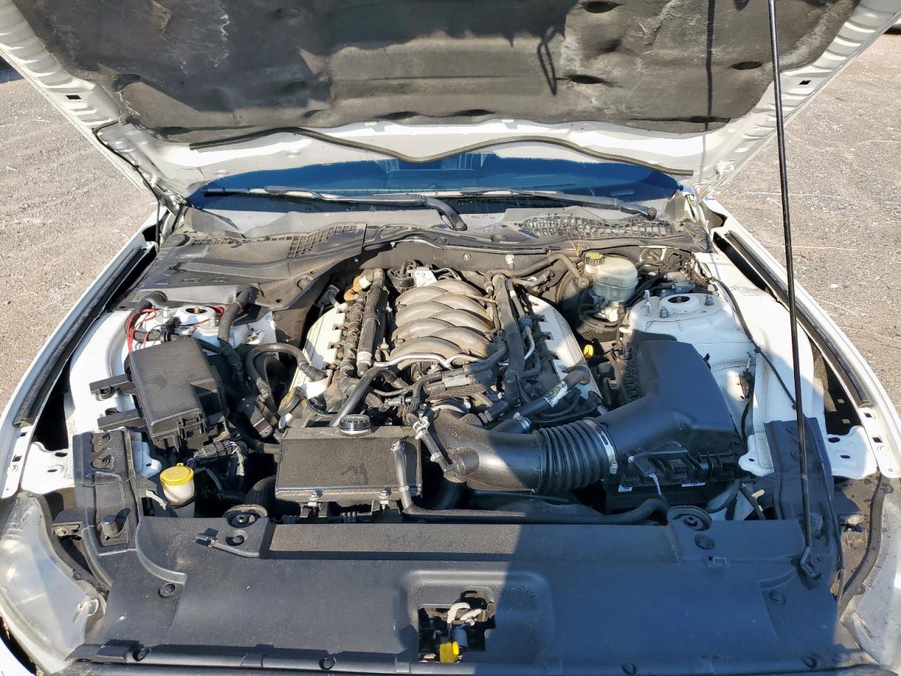 2015 Ford Mustang Gt VIN: 1FA6P8CF8F5355410 Lot: 71128385