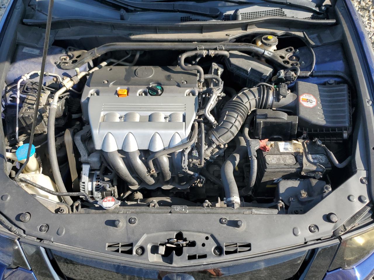 2009 Acura Tsx VIN: JH4CU26689C011380 Lot: 81037485