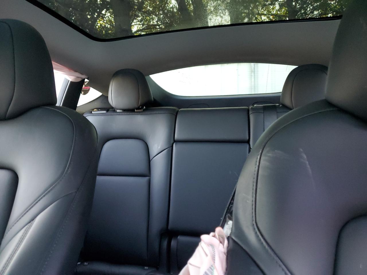 2023 Tesla Model Y VIN: 7SAYGDEE2PA210900 Lot: 80301515