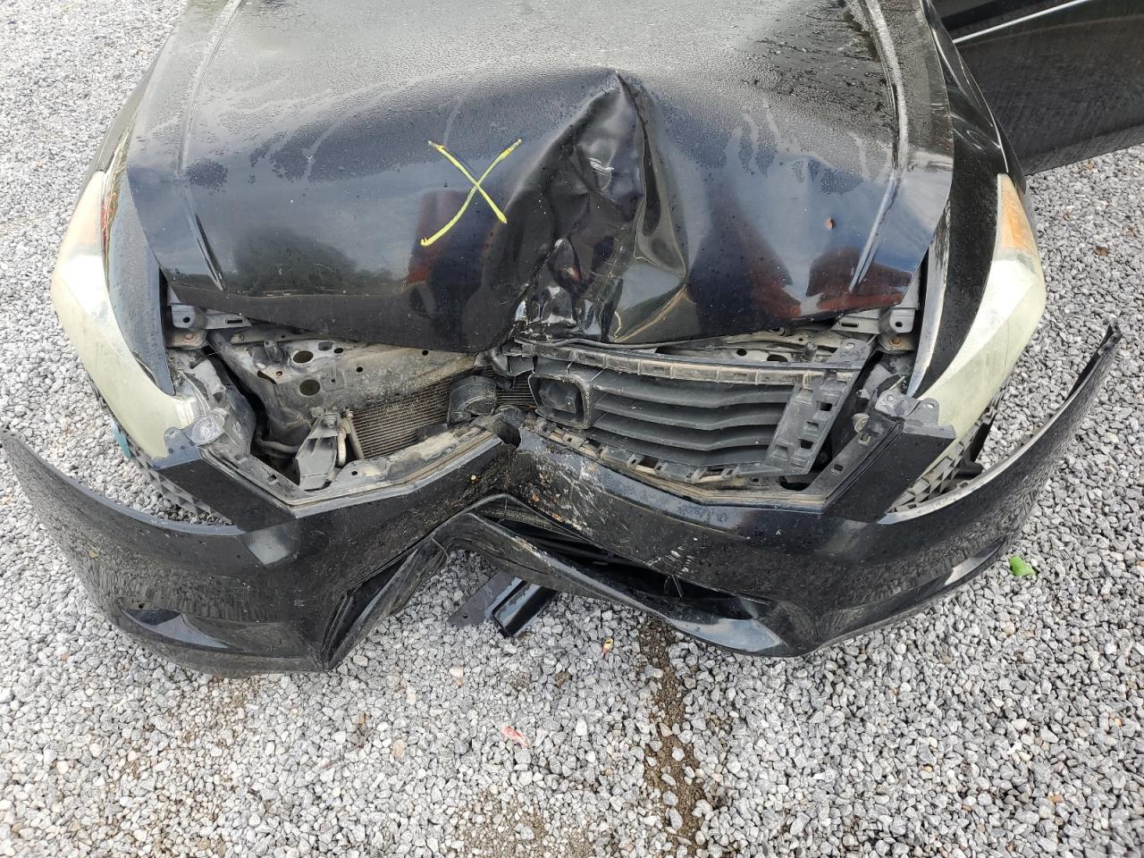 2009 Honda Accord Exl VIN: 1HGCP36889A018553 Lot: 83960105