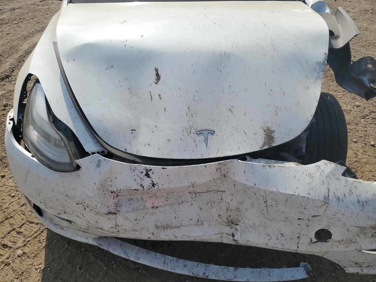 2023 Tesla Model Y VIN: 7SAYGAEE3PF788568 Lot: 80083045