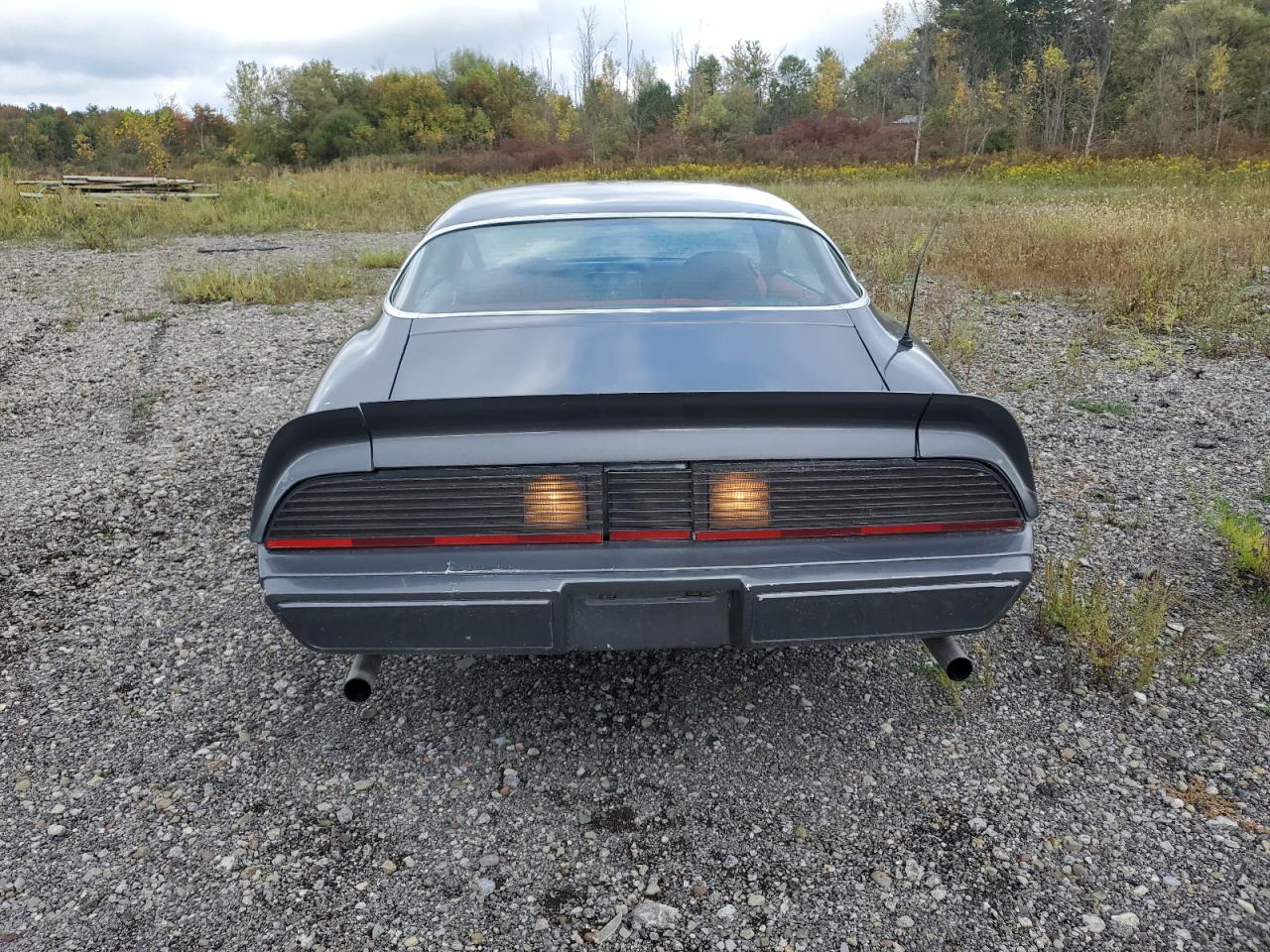 1981 Pontiac Firebird VIN: 1G2AS87A4BN117926 Lot: 71678445