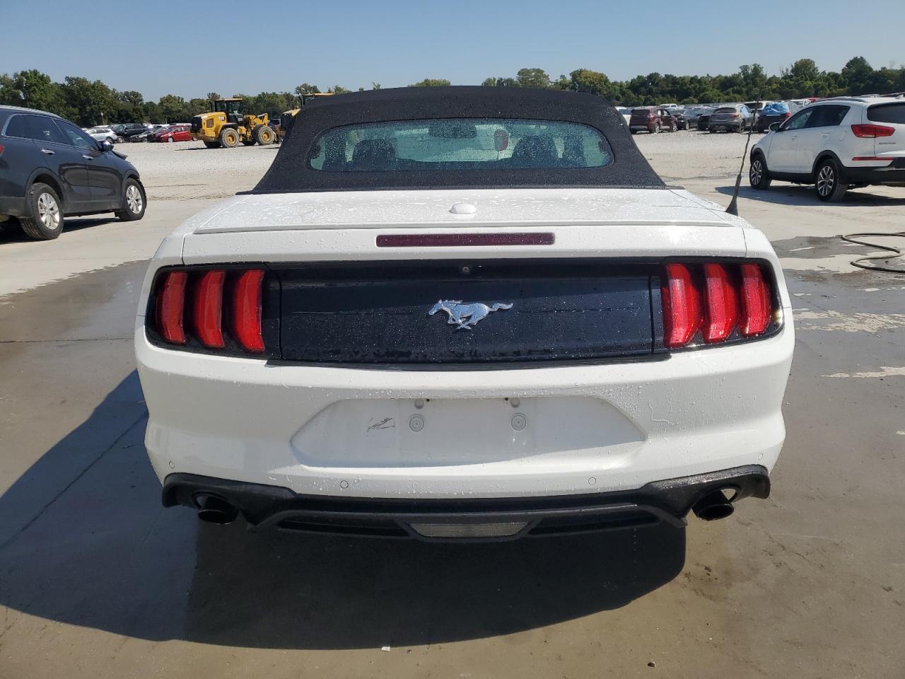 2019 Ford Mustang VIN: 1FATP8UH0K5170720 Lot: 81104355
