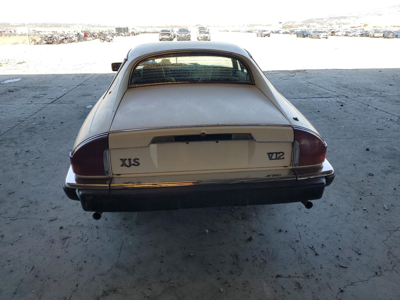 1984 Jaguar Xj-S VIN: SAJNV5845EC113297 Lot: 71306185