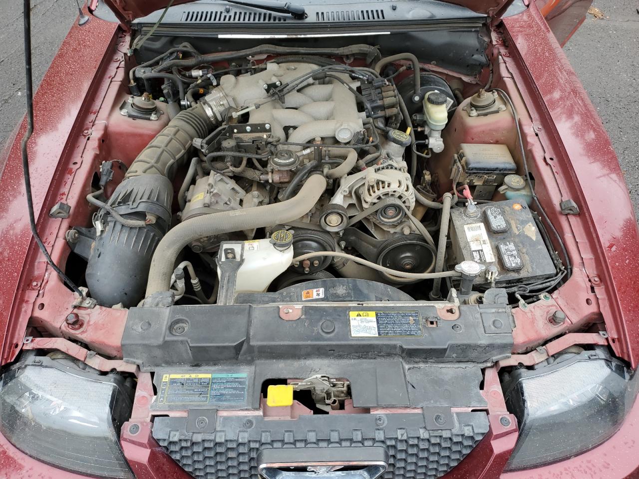 2004 Ford Mustang VIN: 1FAFP40484F109752 Lot: 84595275