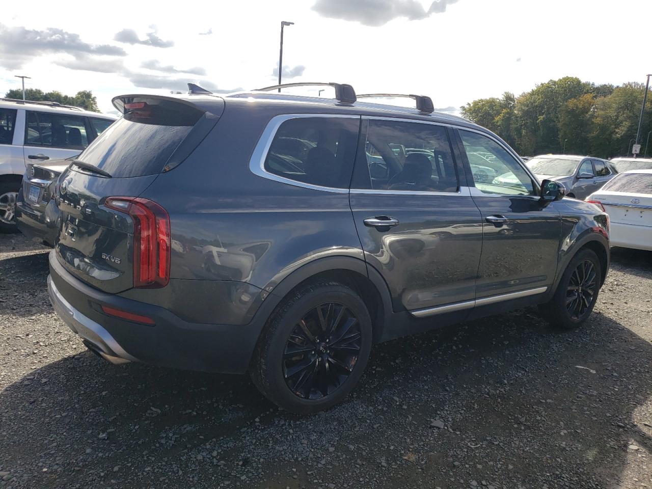 2020 Kia Telluride Sx VIN: 5XYP5DHCXLG038341 Lot: 84280905