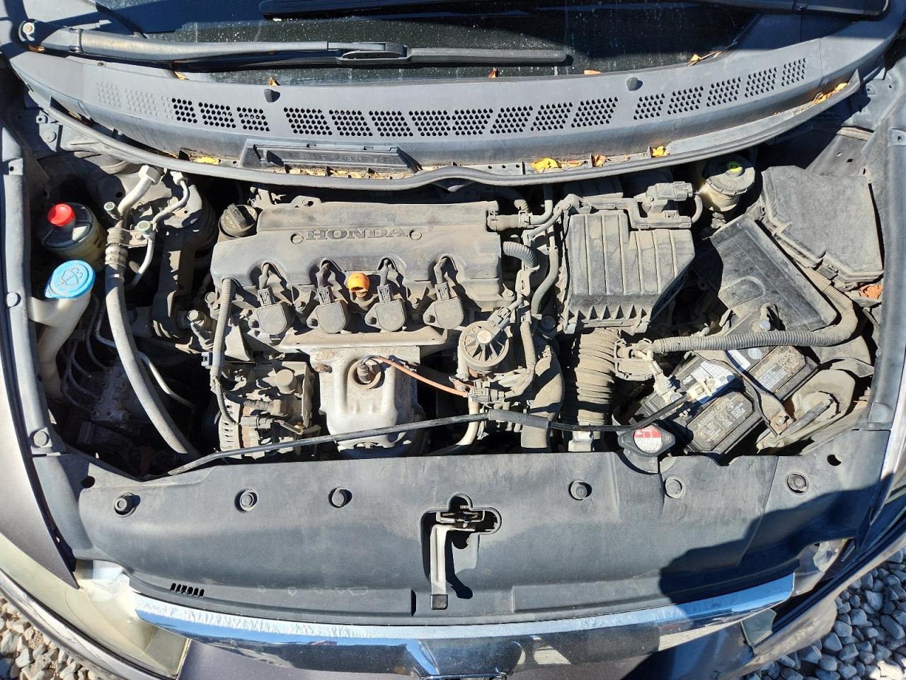 2010 Honda Civic Lx-S VIN: 19XFA1F62AE044440 Lot: 81734625