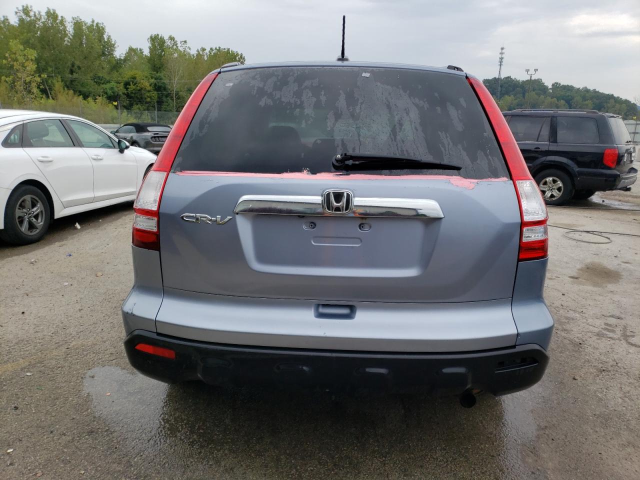 2007 Honda Cr-V Exl VIN: JHLRE38747C022543 Lot: 71512925