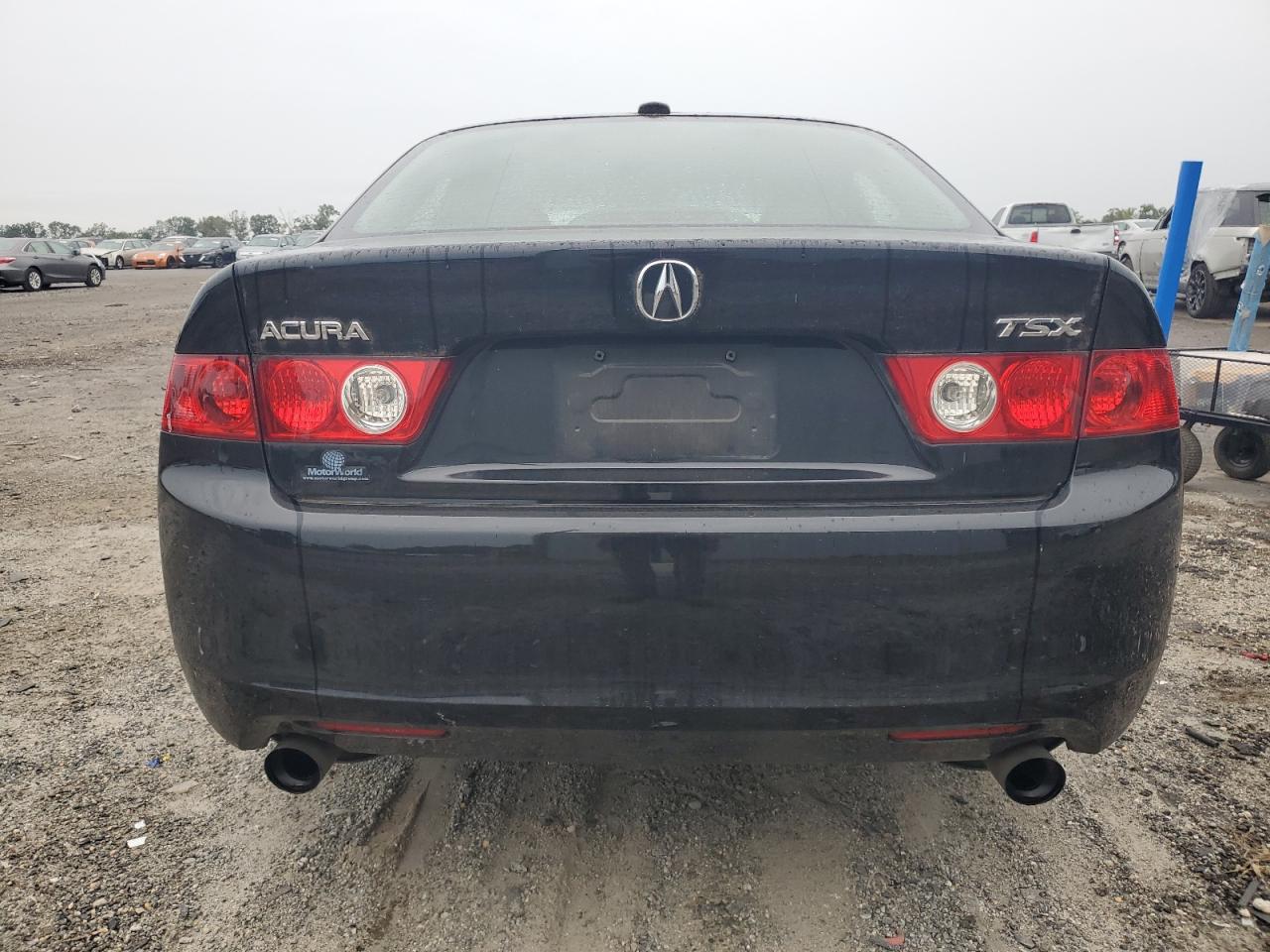 2005 Acura Tsx VIN: JH4CL96845C008600 Lot: 84375385
