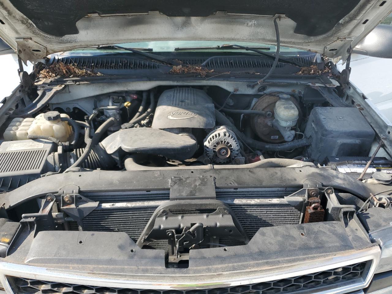 2007 Chevrolet Silverado K1500 Classic VIN: 1GCEK14V77E184829 Lot: 81019635