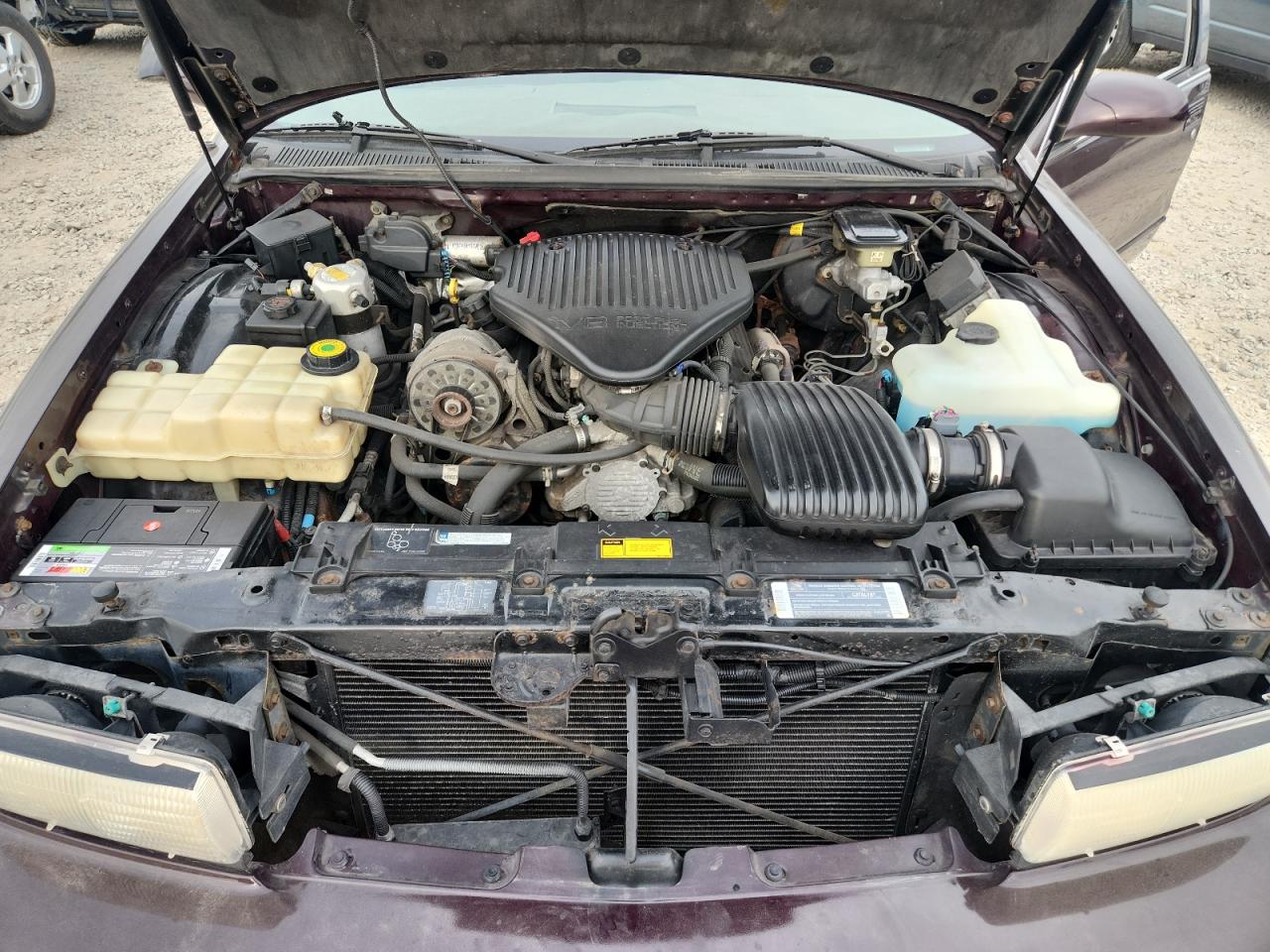 1995 Chevrolet Caprice / Impala Classic Ss VIN: 1G1BL52P1SR167689 Lot: 81620505