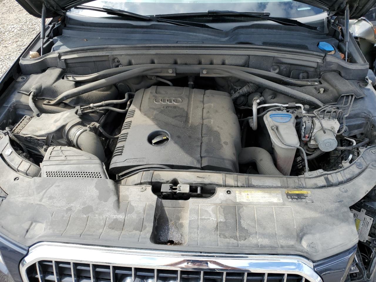 2014 Audi Q5 Premium Plus VIN: WA1LFAFP1EA067627 Lot: 81801075