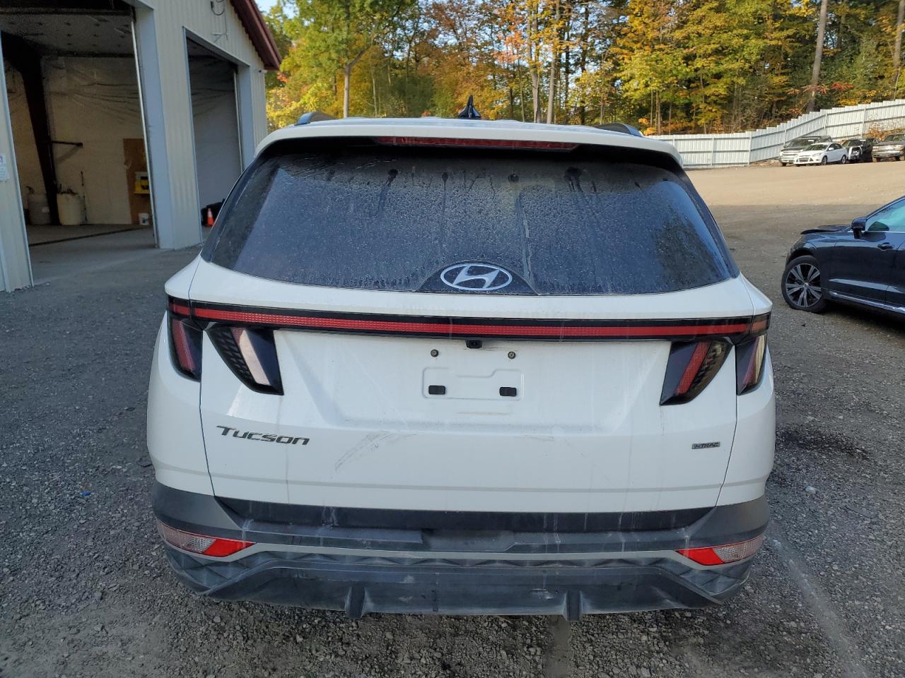 2023 Hyundai Tucson Sel VIN: 5NMJFCAE7PH263899 Lot: 81247245
