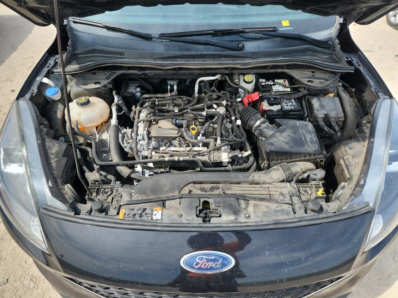 2021 Ford Escape Sel VIN: 1FMCU0H69MUA59097 Lot: 80351075