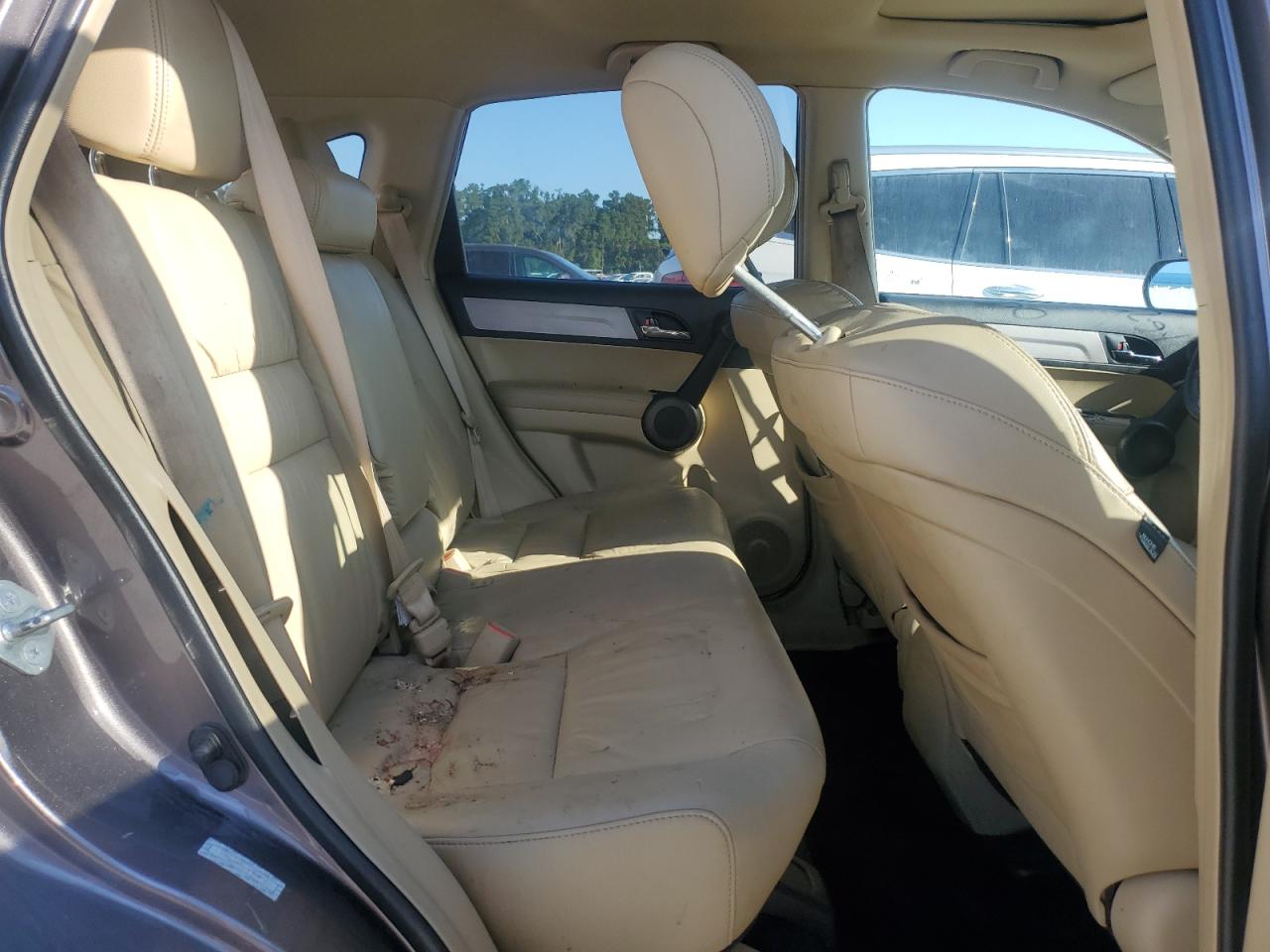 2010 Honda Cr-V Exl VIN: 5J6RE3H7XAL042553 Lot: 80367495