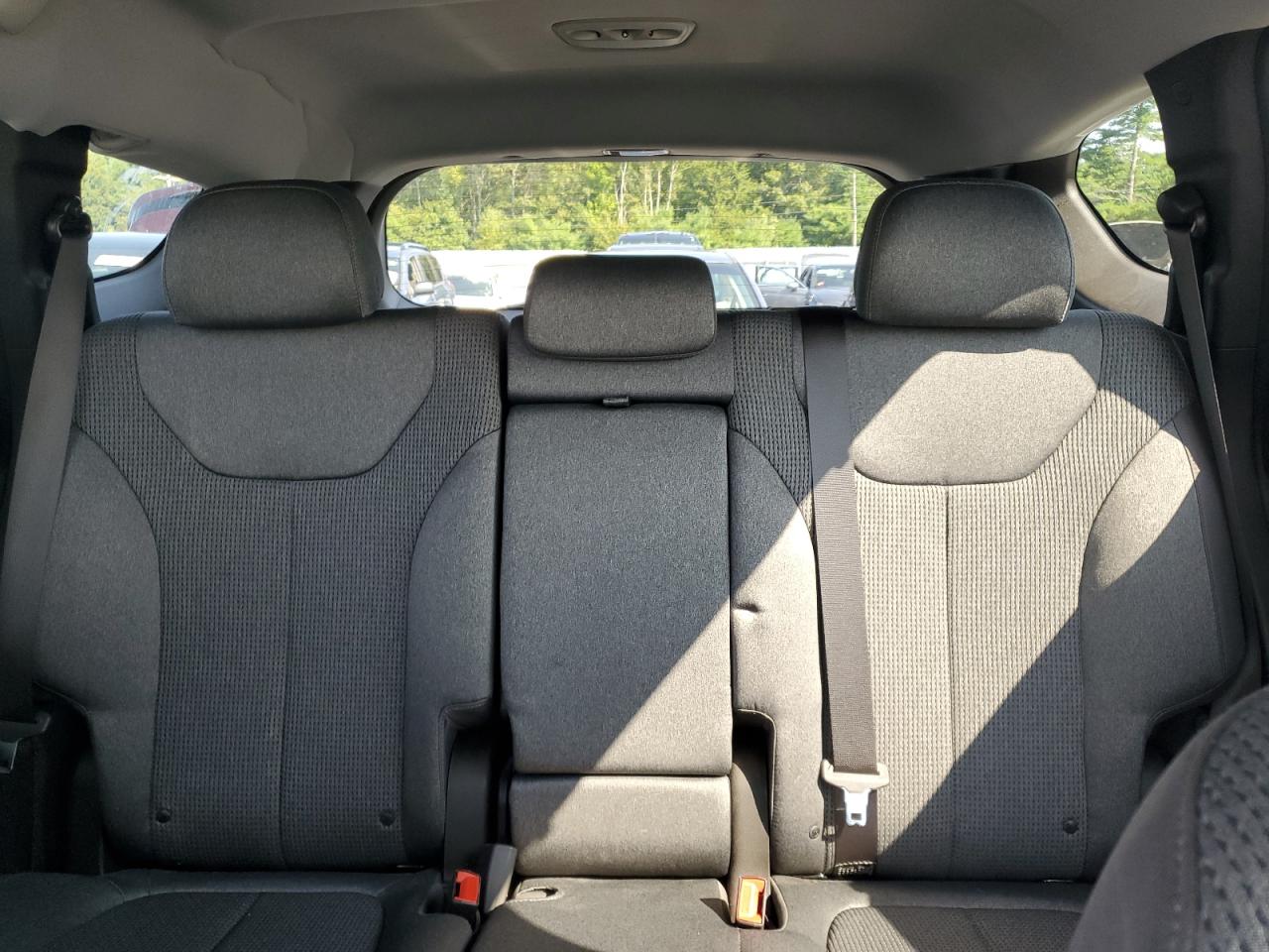 2020 Hyundai Santa Fe Sel VIN: 5NMS3CAD3LH266376 Lot: 71310805