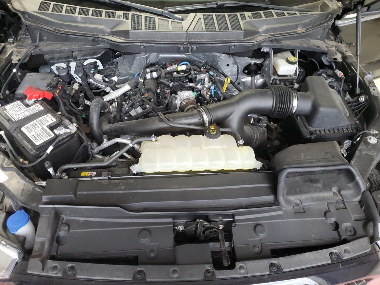 2021 Ford F150 Super Cab VIN: 1FTEX1EP4MFC23769 Lot: 70008745