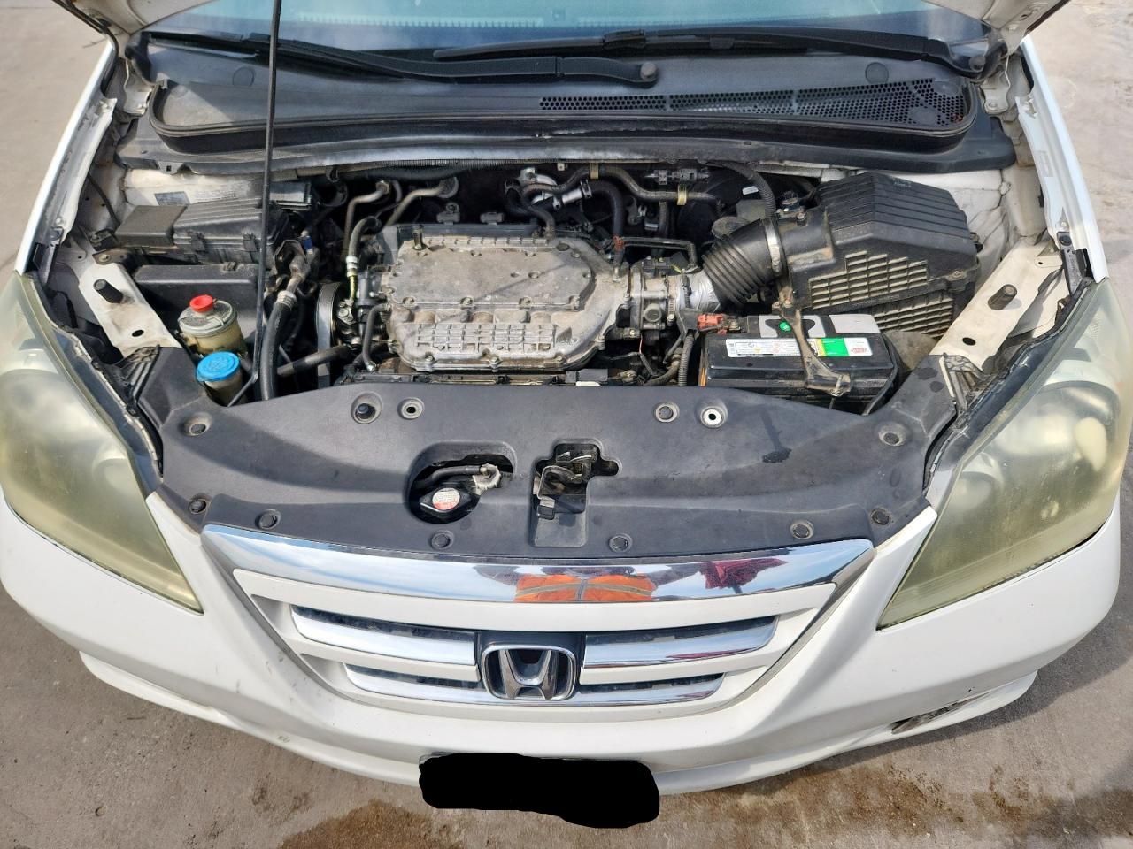 2007 Honda Odyssey Exl VIN: 5FNRL38787B420361 Lot: 71456215