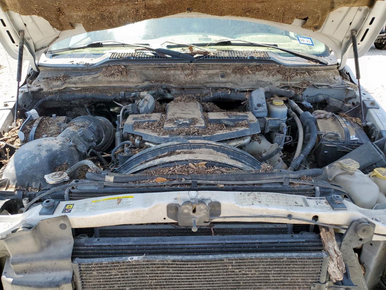 2009 Dodge Ram 2500 VIN: 3D7KS28LX9G555534 Lot: 71019535