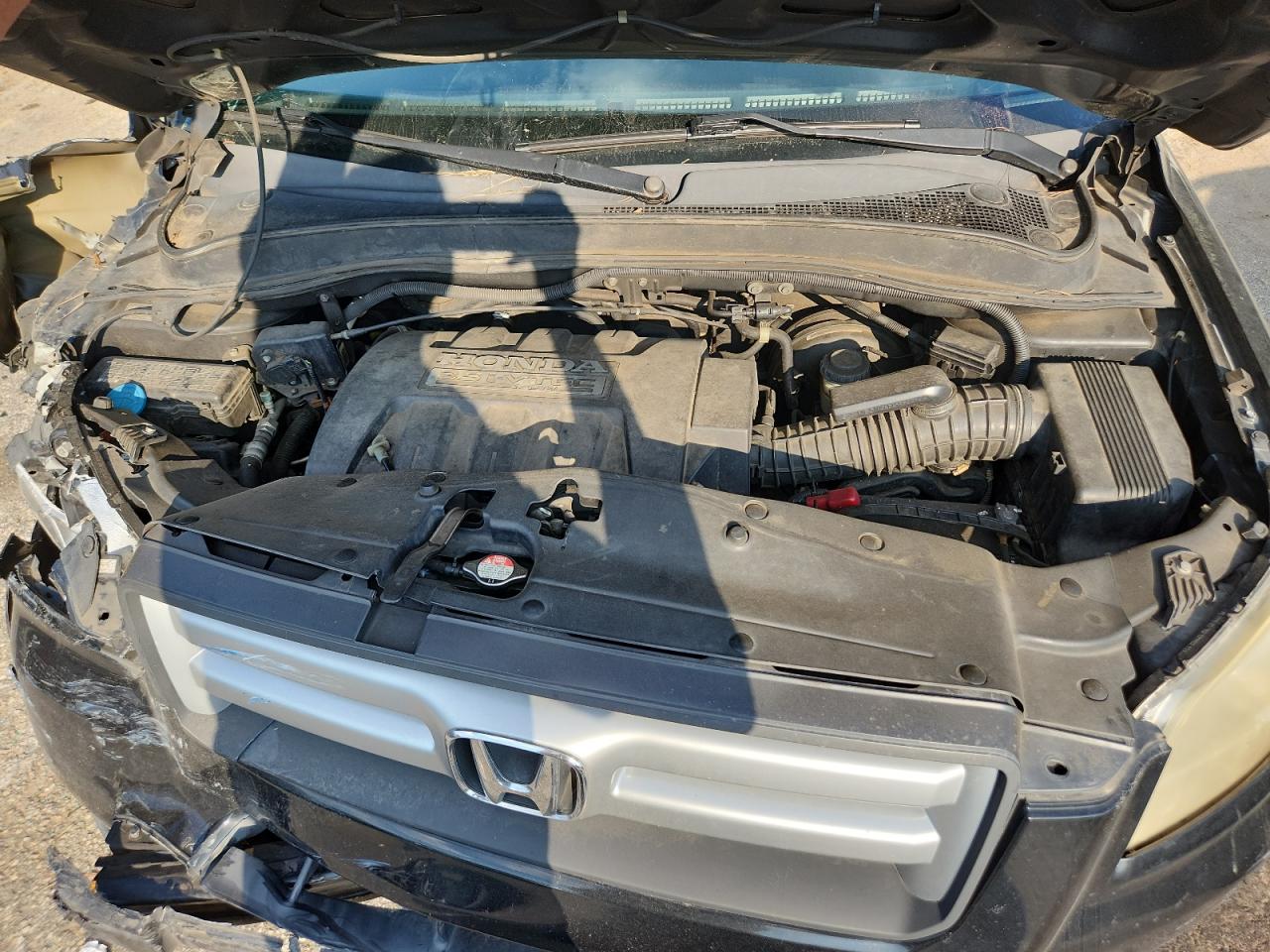 2007 Honda Pilot Exl VIN: 5FNYF28507B039115 Lot: 81397255