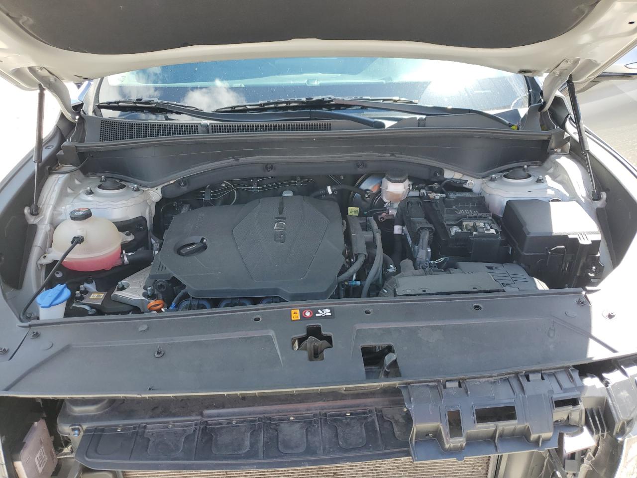 2023 Hyundai Santa Fe Sel VIN: 5NMS24AJ8PH647578 Lot: 84393055