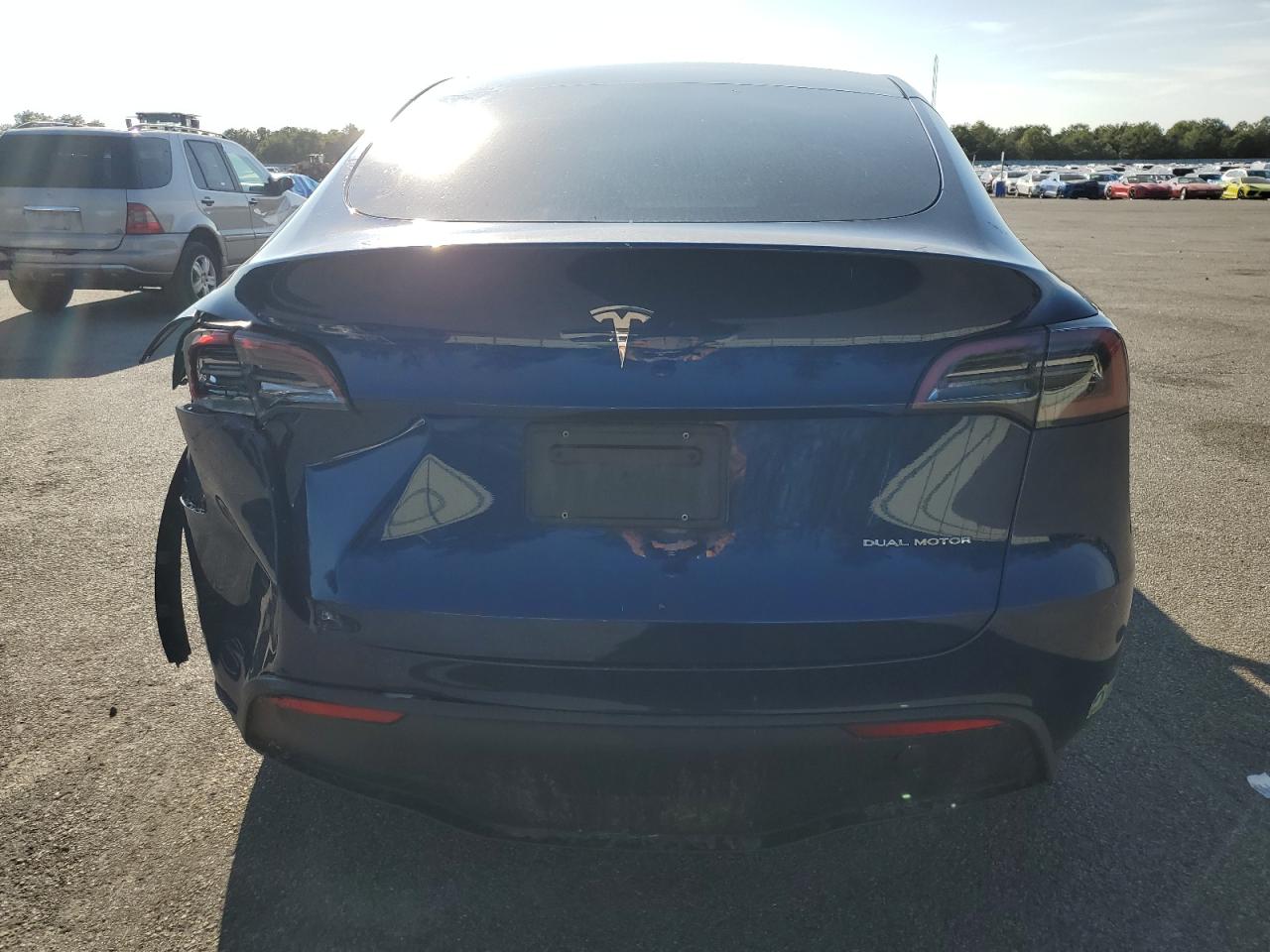 2023 Tesla Model Y VIN: 7SAYGDEE6PF633076 Lot: 81225815