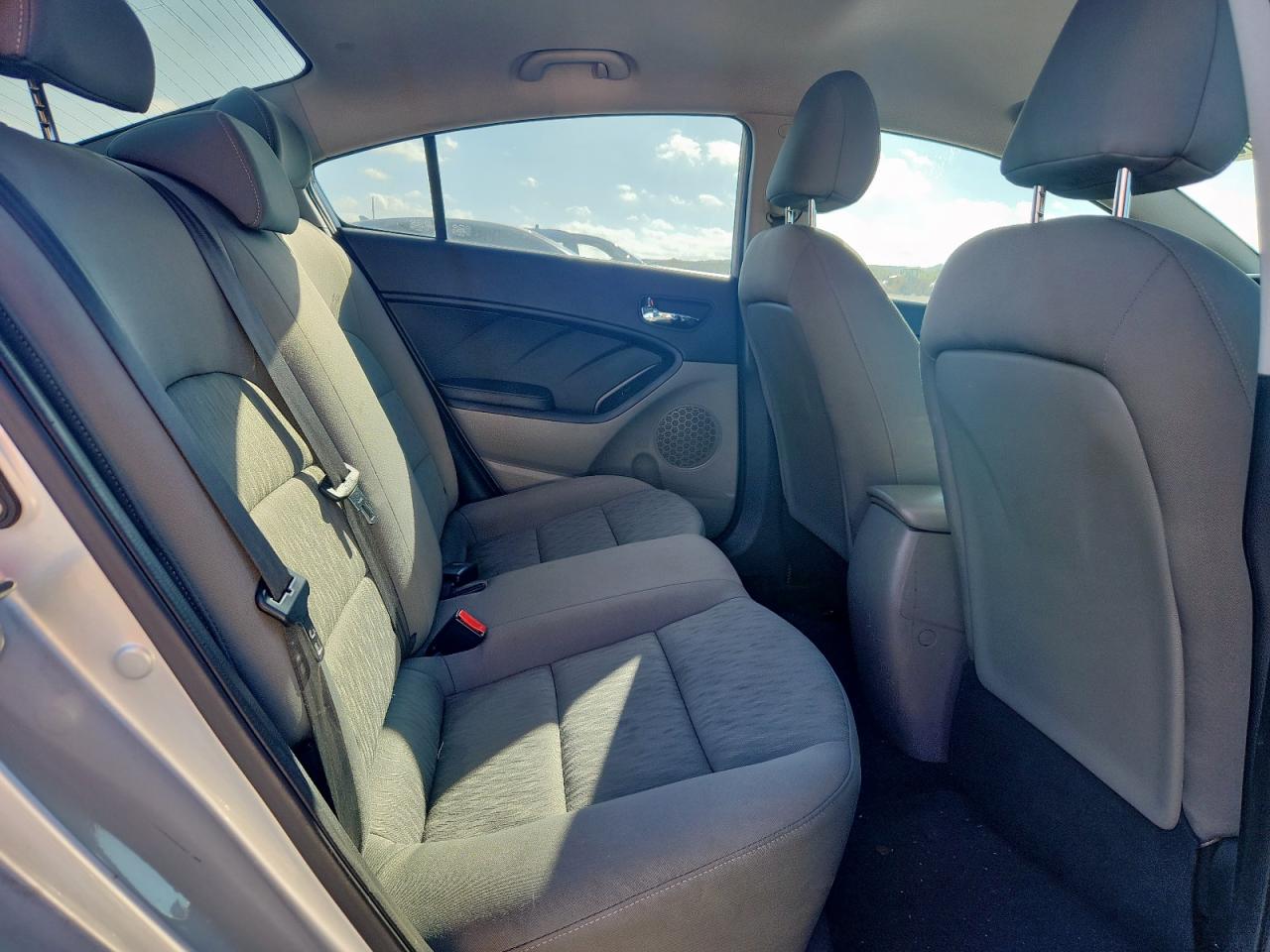 2015 Kia Forte Lx VIN: KNAFK4A61F5304655 Lot: 81546685