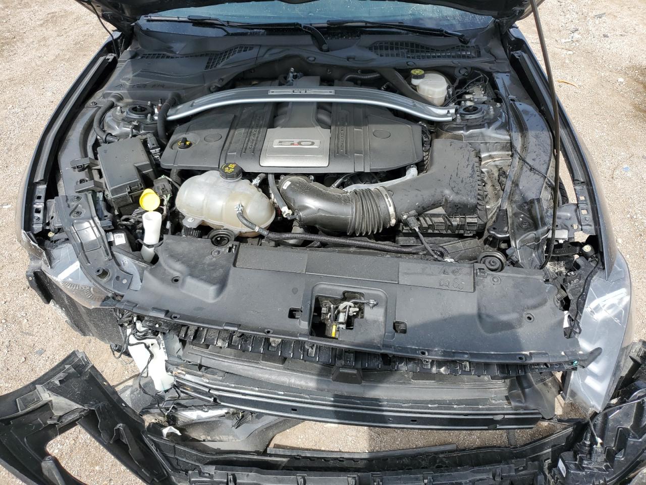 2019 Ford Mustang Gt VIN: 1FA6P8CF3K5202251 Lot: 71868045