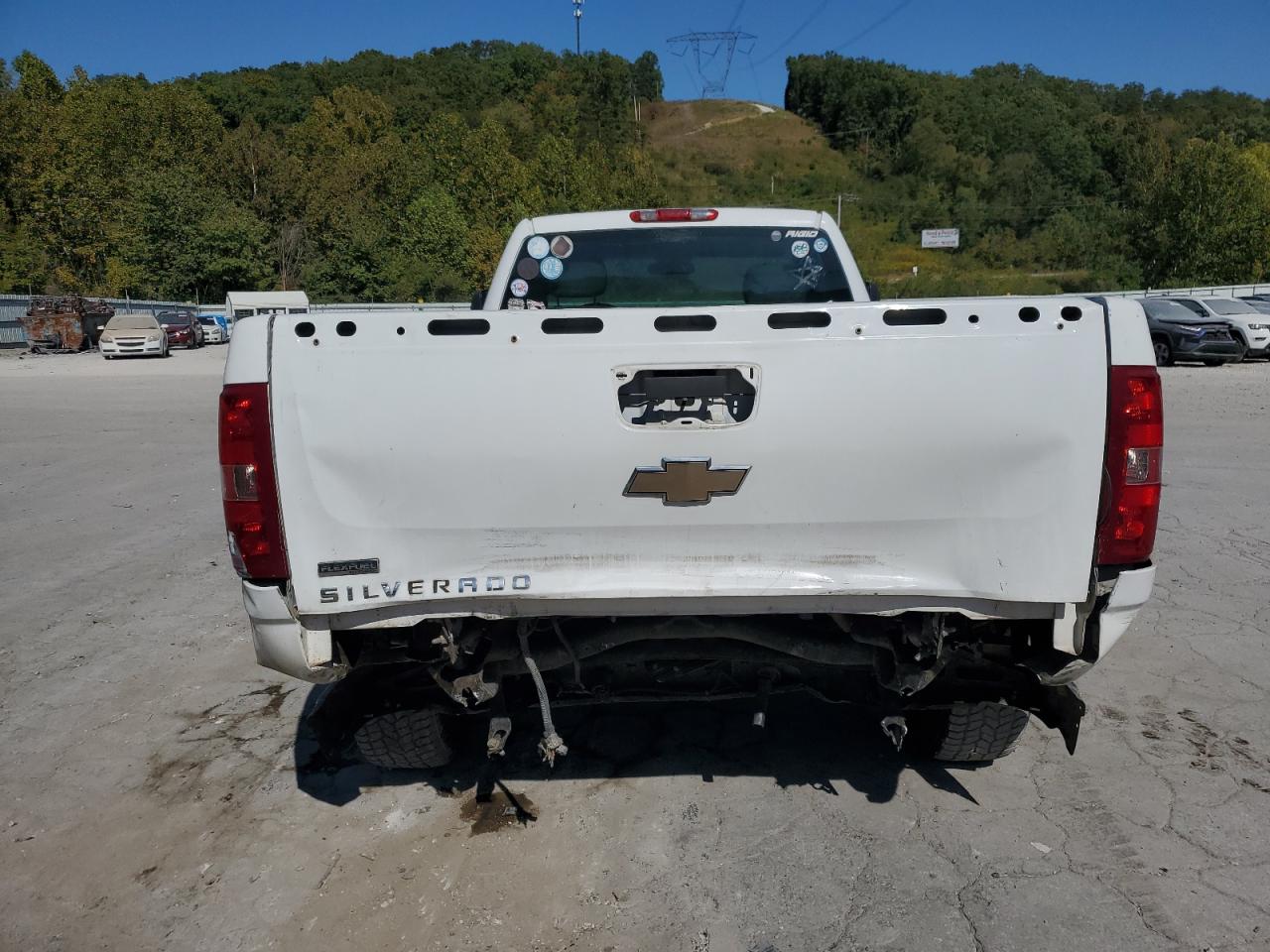2010 Chevrolet Silverado K1500 VIN: 1GCPKPE0XAZ243595 Lot: 81511825