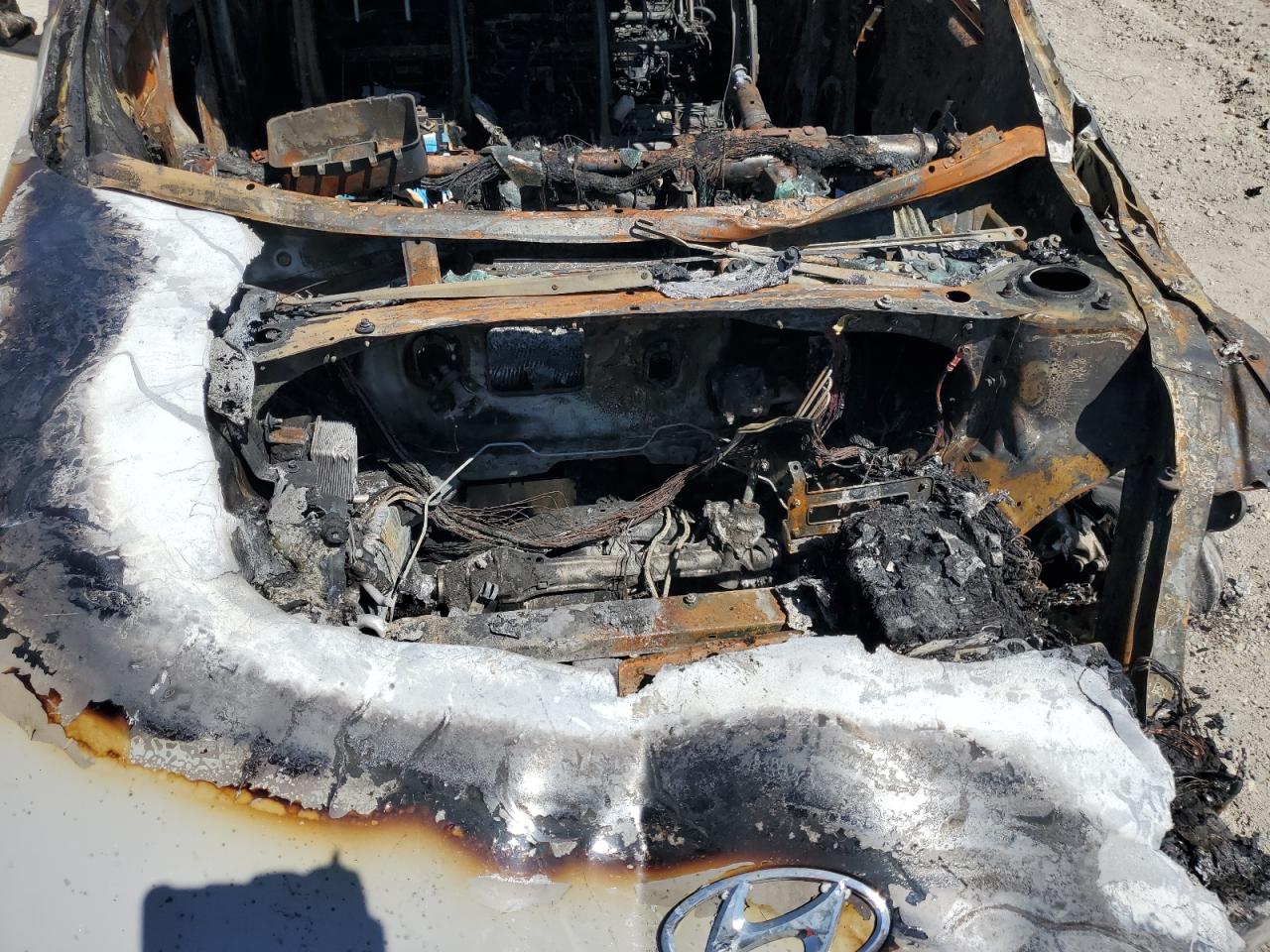 2024 Hyundai Ioniq 5 Sel VIN: KM8KN4DE2RU294901 Lot: 80081315