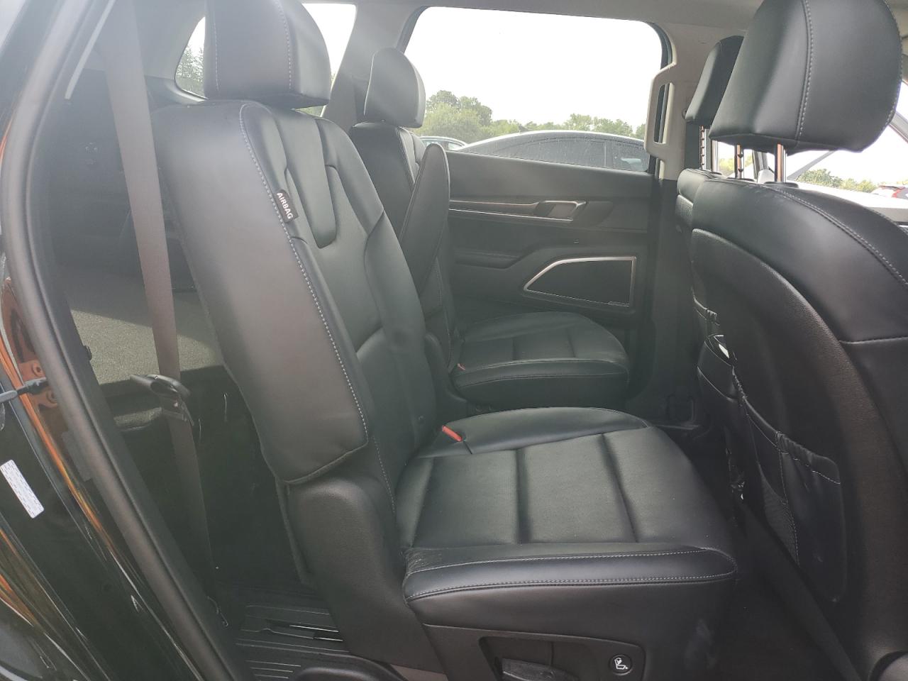 2024 Kia Telluride S VIN: 5XYP6DGC9RG529538 Lot: 80828185