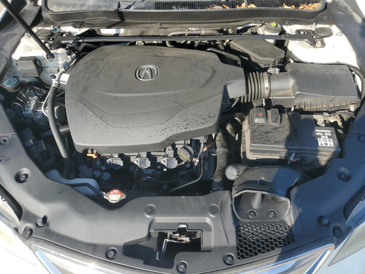 2015 Acura Tlx Tech VIN: 19UUB2F50FA007187 Lot: 71280655