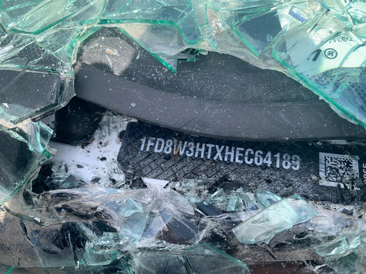 2017 Ford F350 Super Duty VIN: 1FD8W3HTXHEC64189 Lot: 59657295