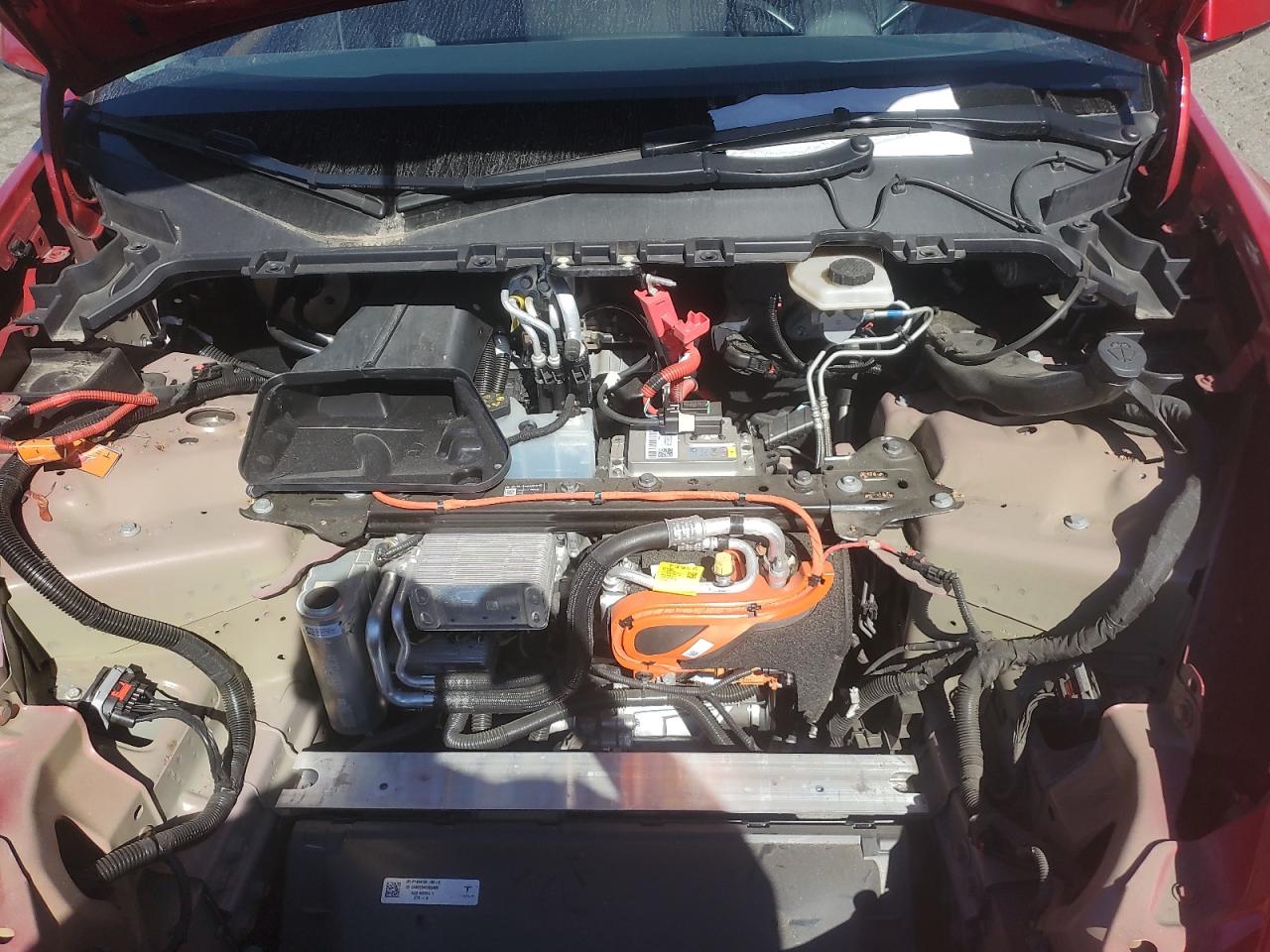 2023 Tesla Model Y VIN: 7SAYGDEE1PF839499 Lot: 81863935