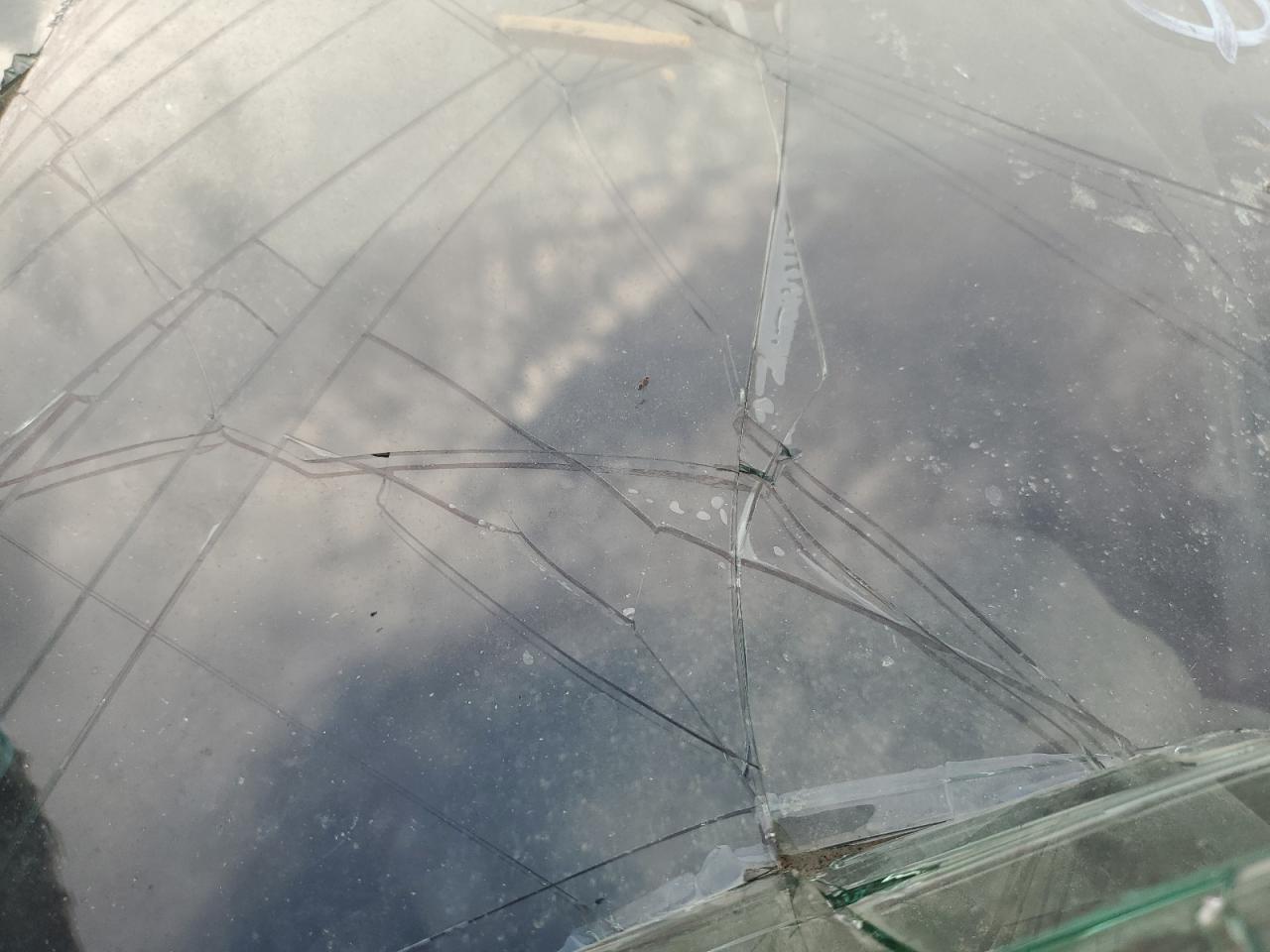 2010 Honda Civic Lx VIN: 2HGFA1F50AH561460 Lot: 81369275