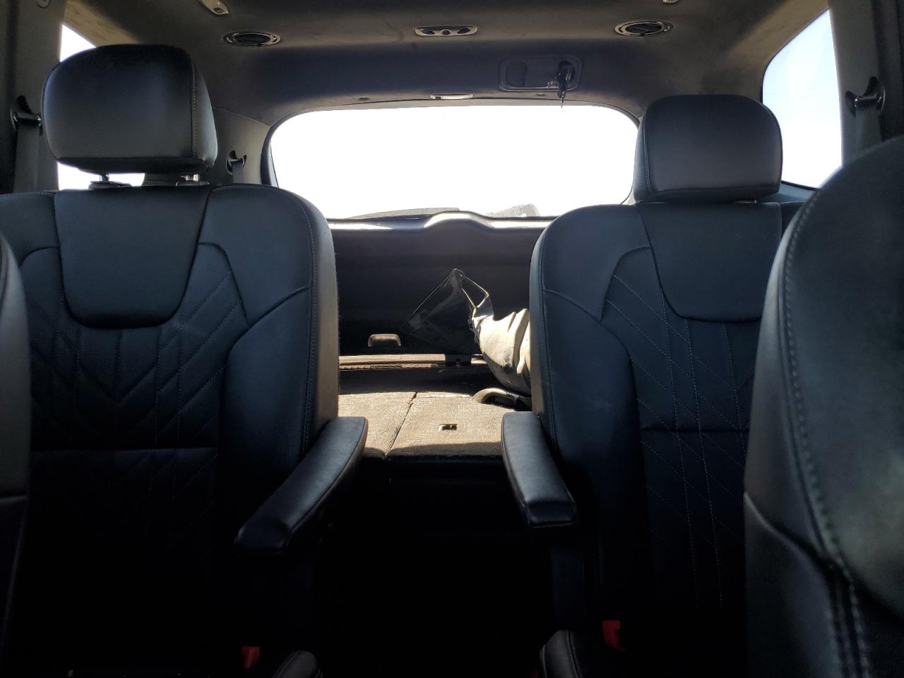 2023 Kia Telluride Sx VIN: 5XYP5DGC8PG337916 Lot: 81628305