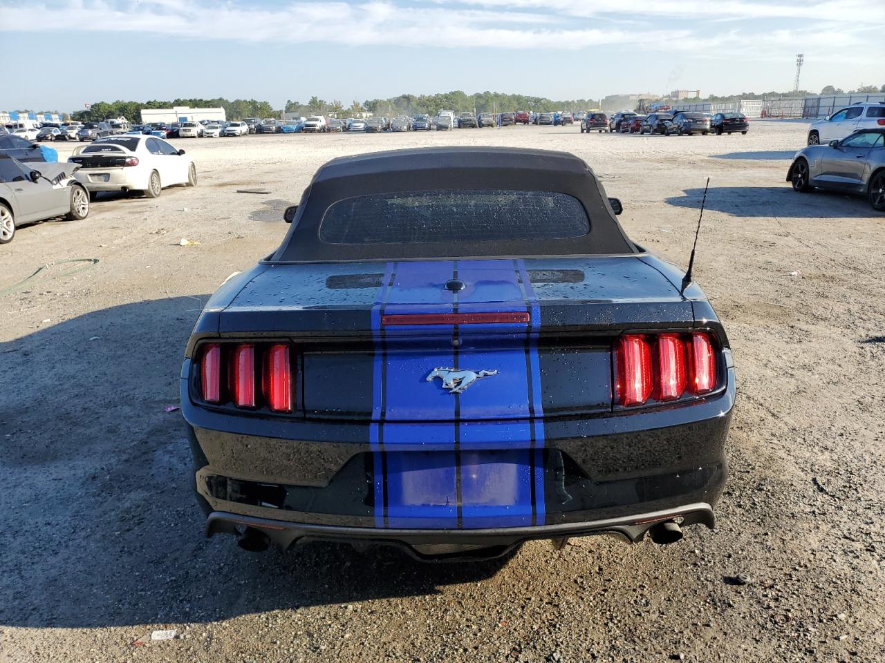 2017 Ford Mustang VIN: 1FATP8UH6H5328809 Lot: 80656665